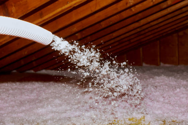 Best Cellulose Insulation in Darien, IL