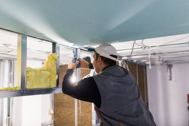 Best Specialized Insulation Services in Darien, IL
