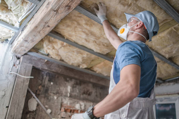 Best Spray Foam Insulation in Darien, IL