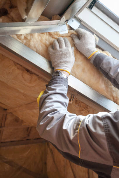 Best Energy Efficiency Insulation in Darien, IL