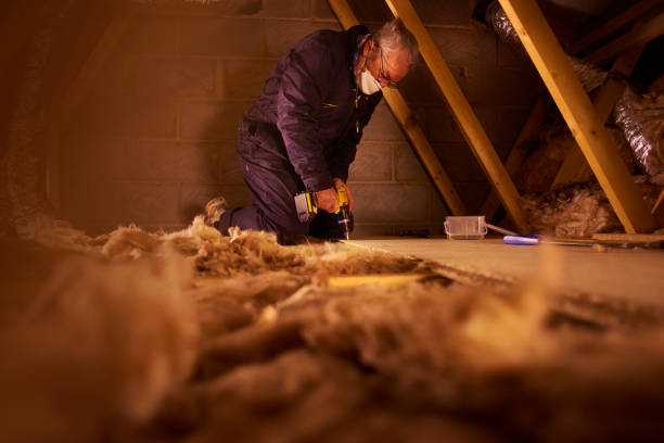 Types of Insulation We Offer in Darien, IL